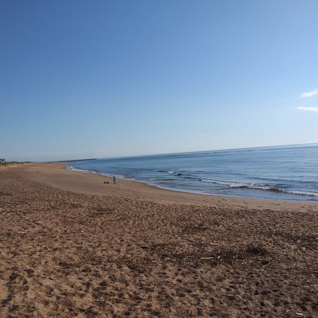 Plum Island 2
