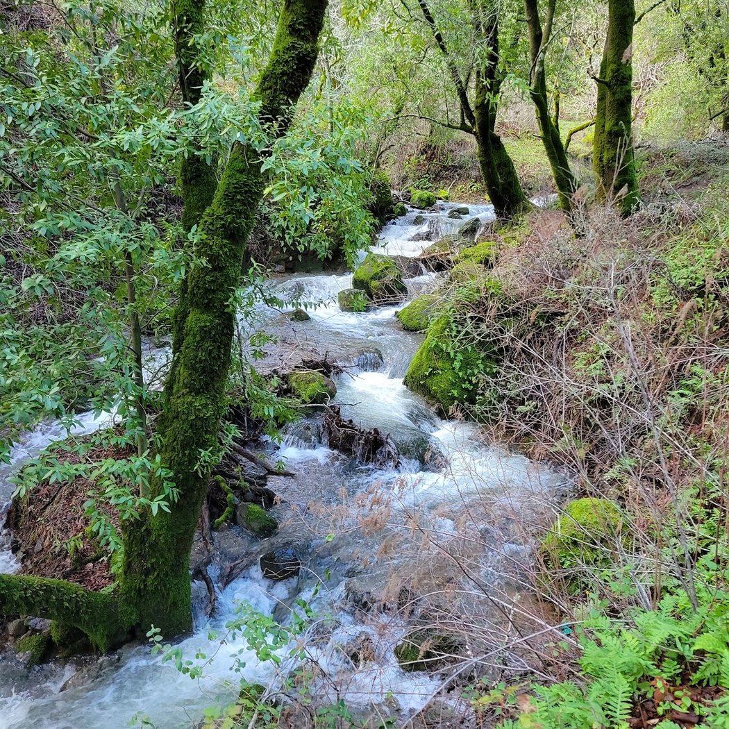 Ignacio Valley Preserve 3