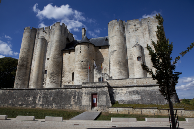 Donjon de Niort 2
