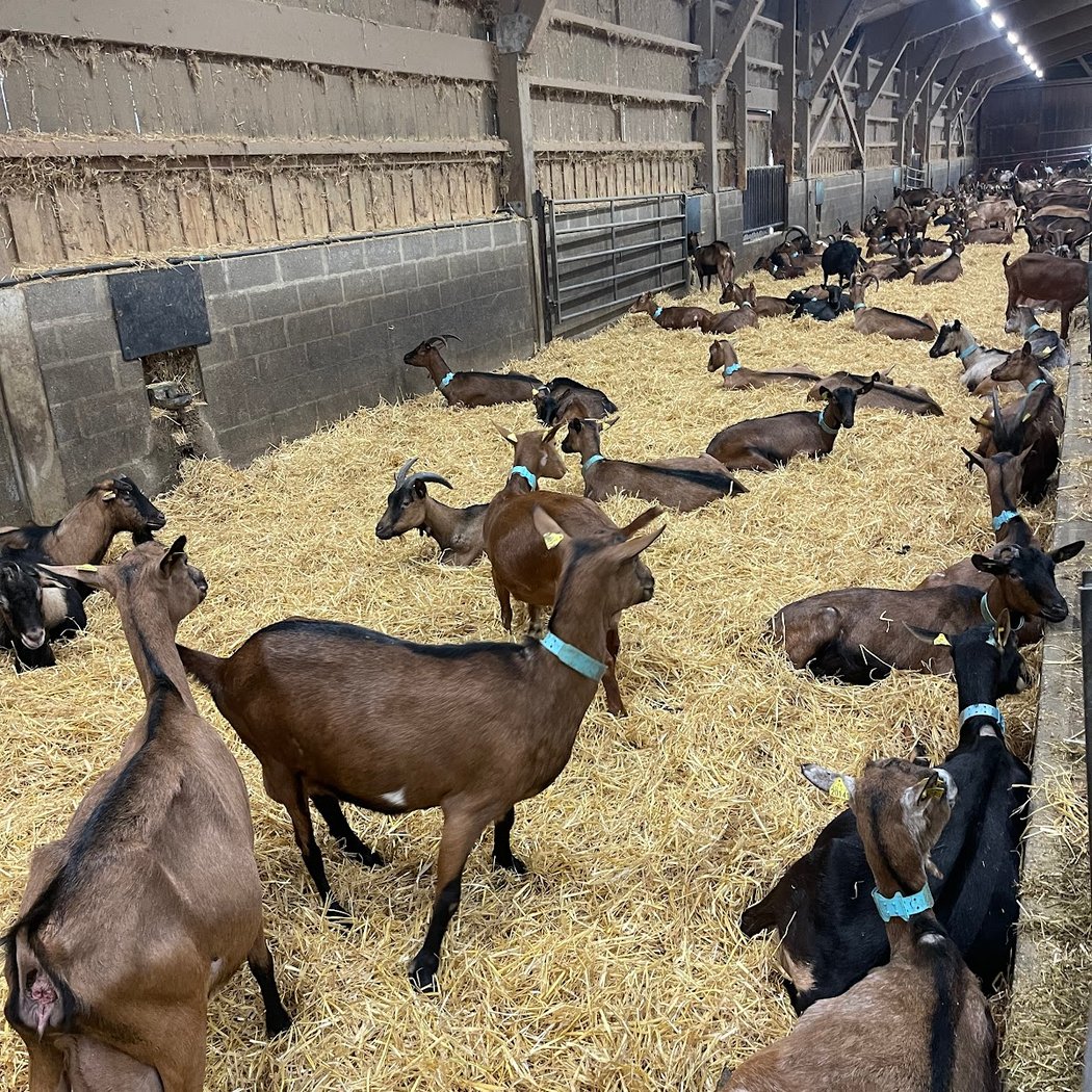 Friday Evenings at Ferme de la Tremblaye 2