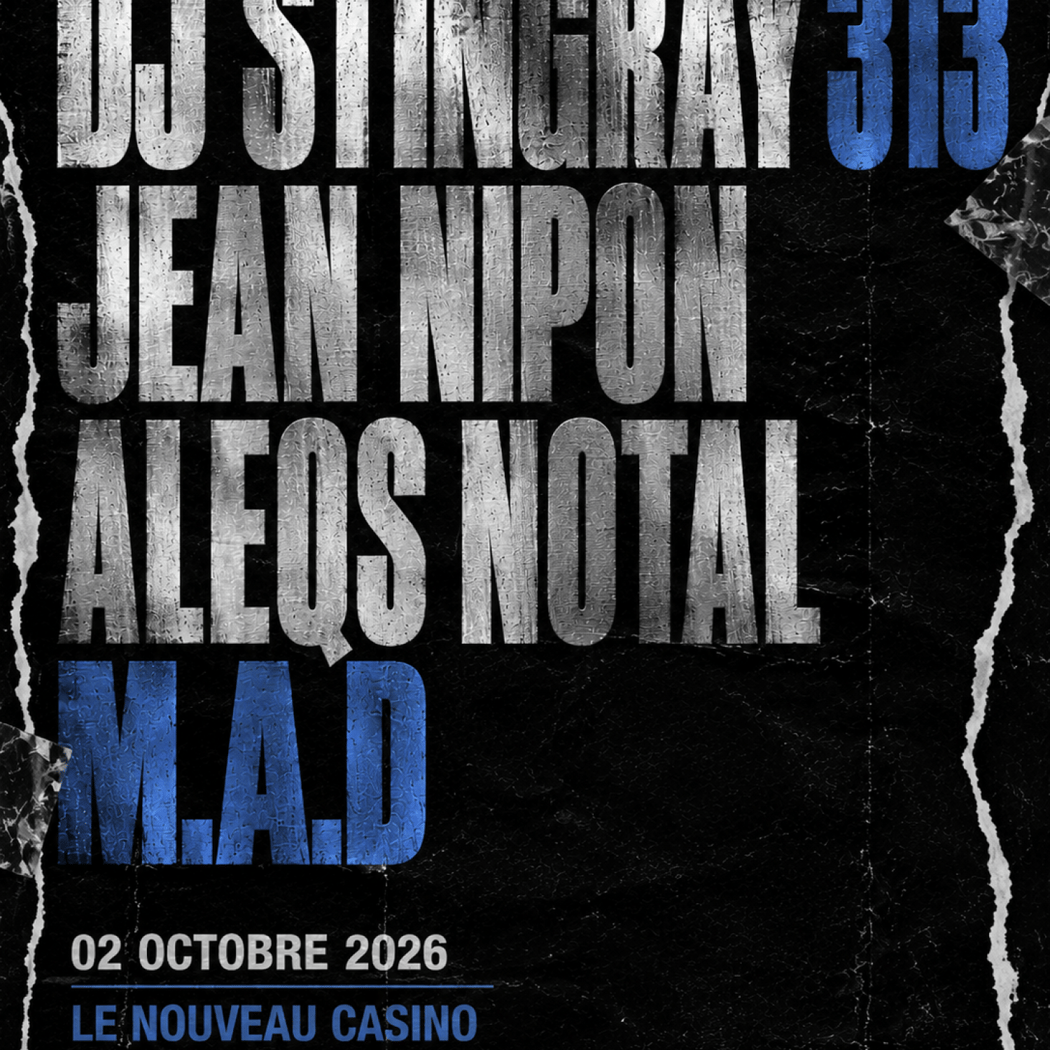DJ STINGRAY 313 1