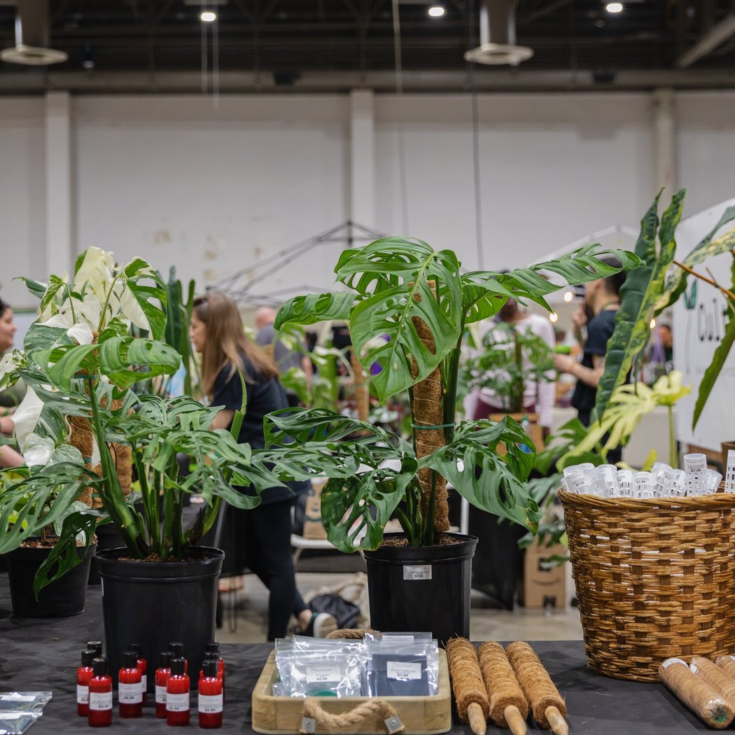 PlantCon NYC 2025 2