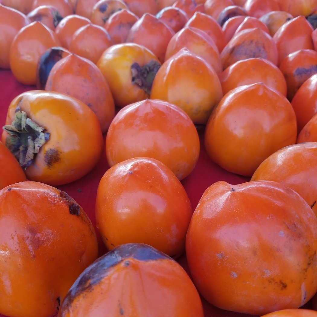 Fremont Irvington Farmers Market 1
