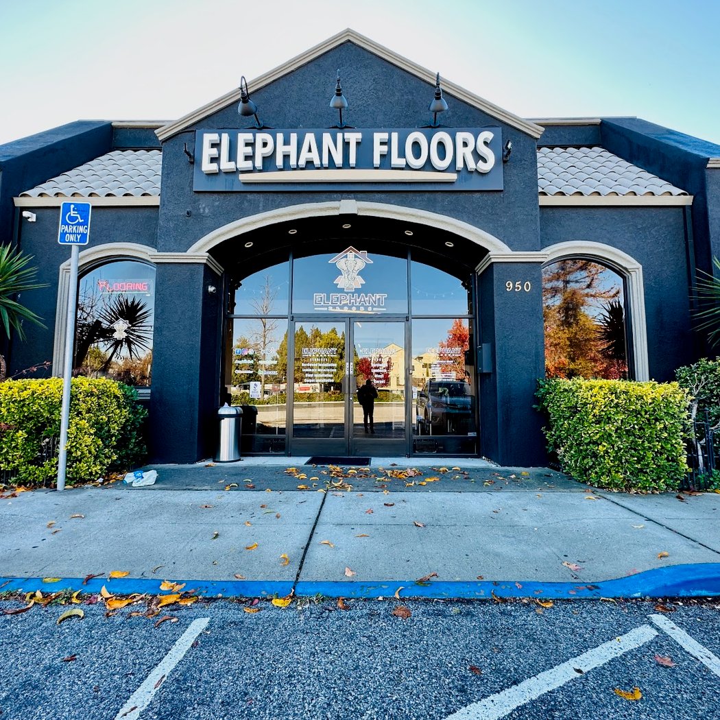 Elephant Floors 2