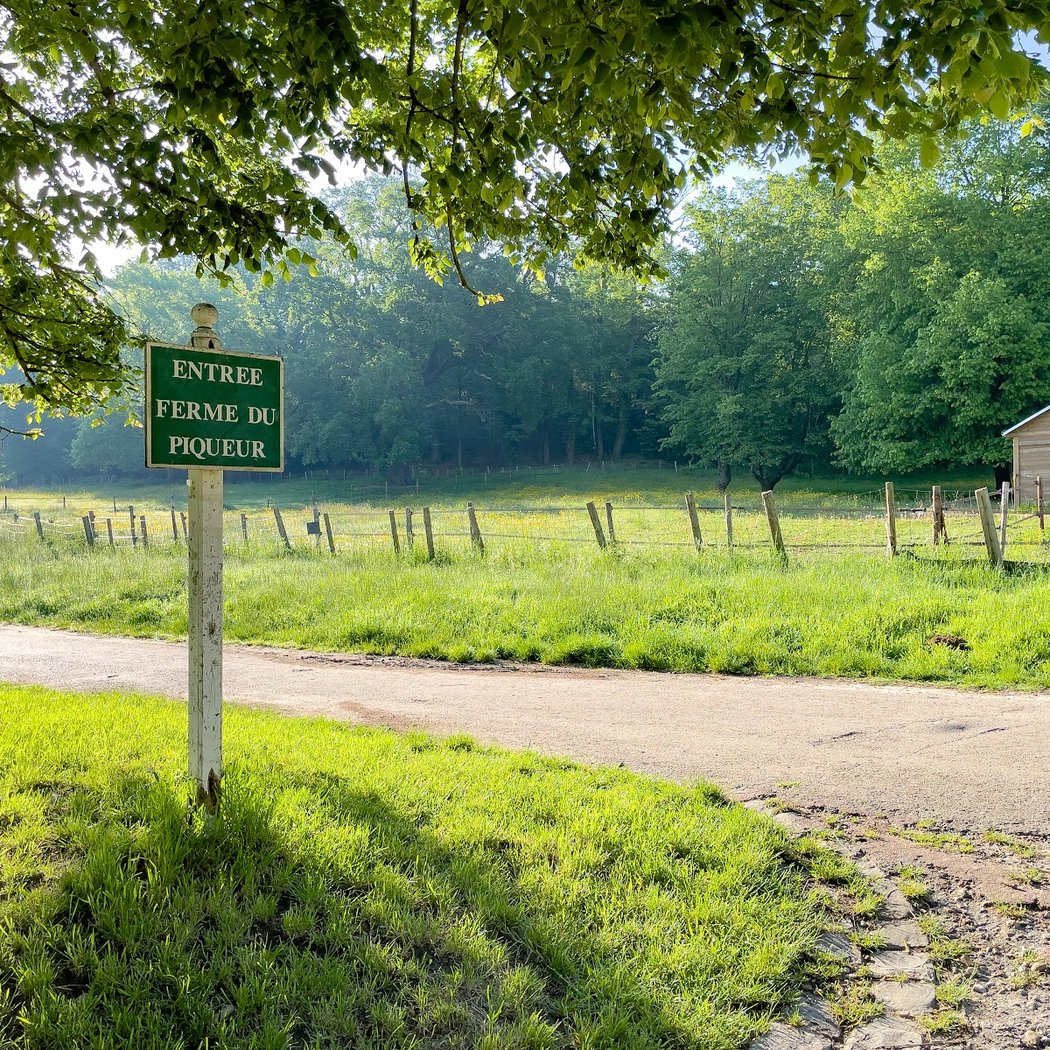 Ferme du Piqueur 3