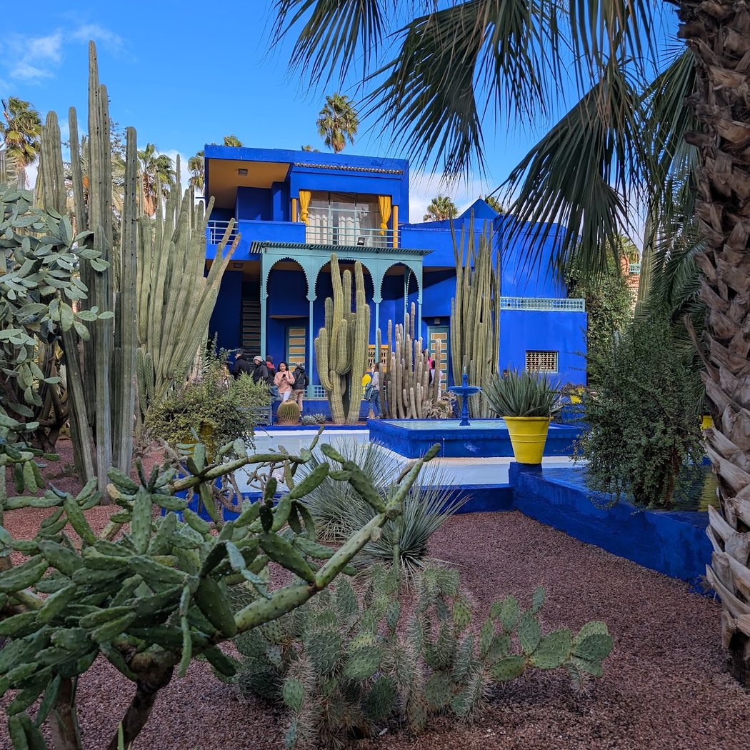 Café Majorelle 1