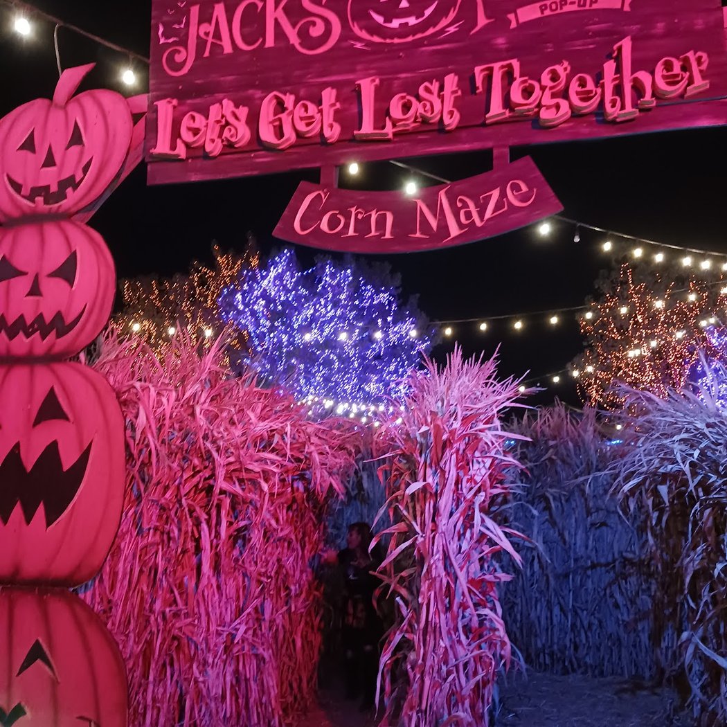 Jack's Pumpkin Pop-Up 5