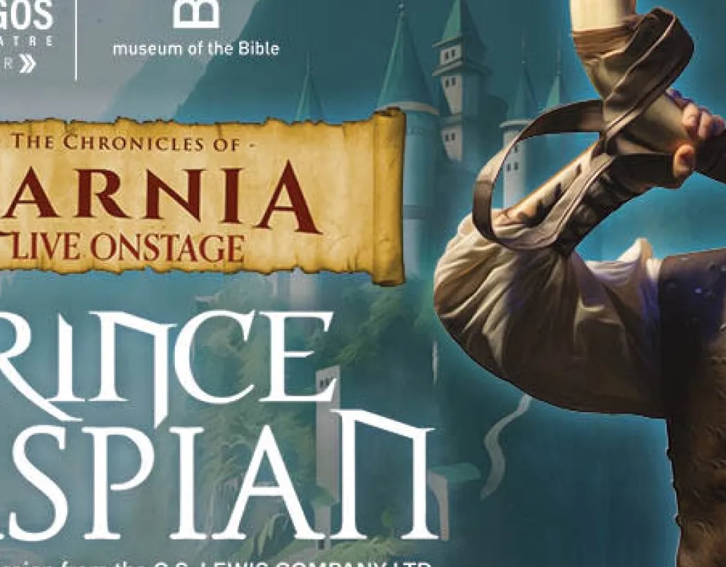 Prince Caspian Live onstage