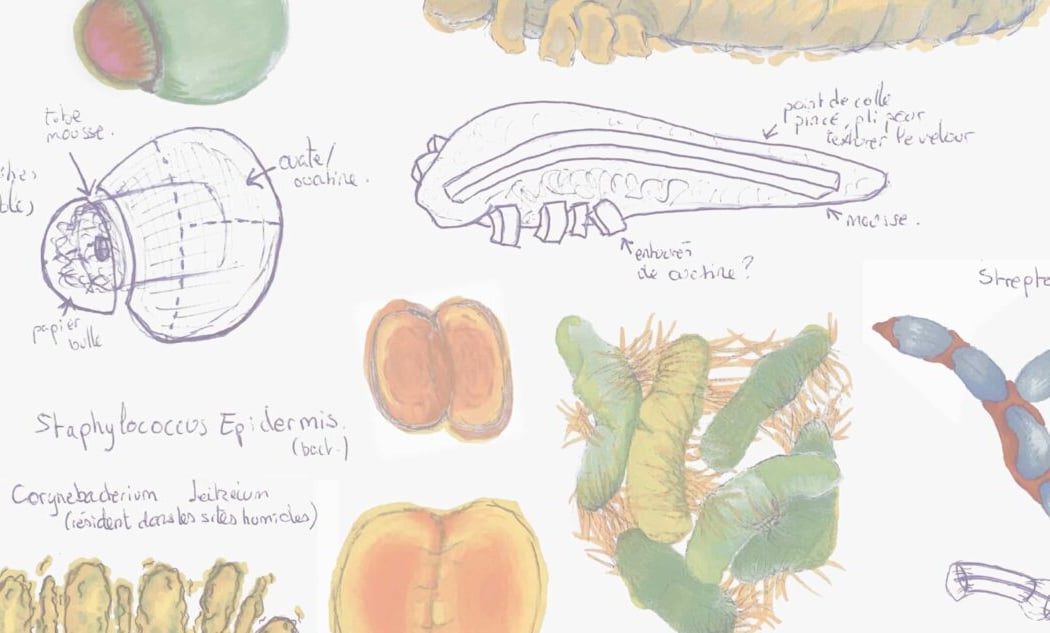 Le Chant des Microbiotes 1