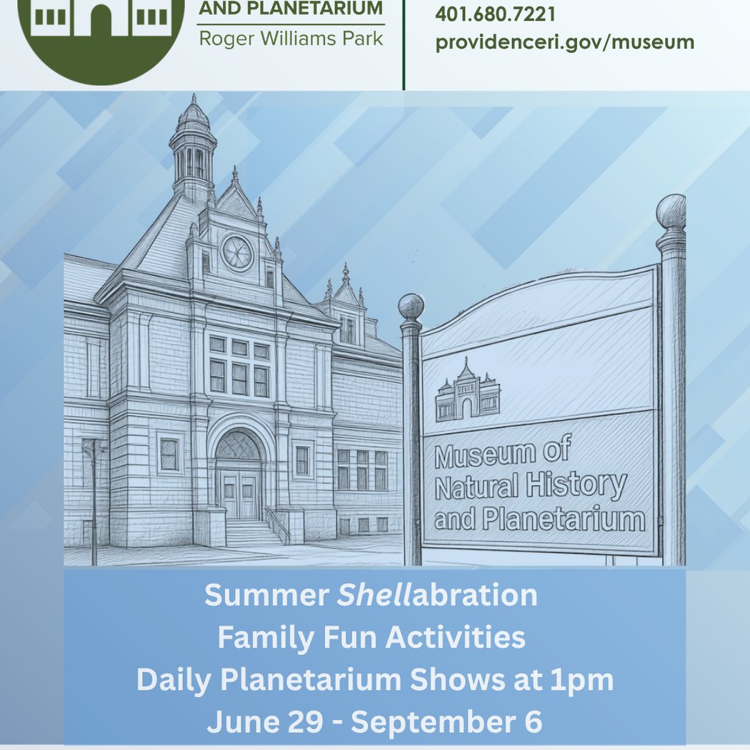 Summer Shellabration 1