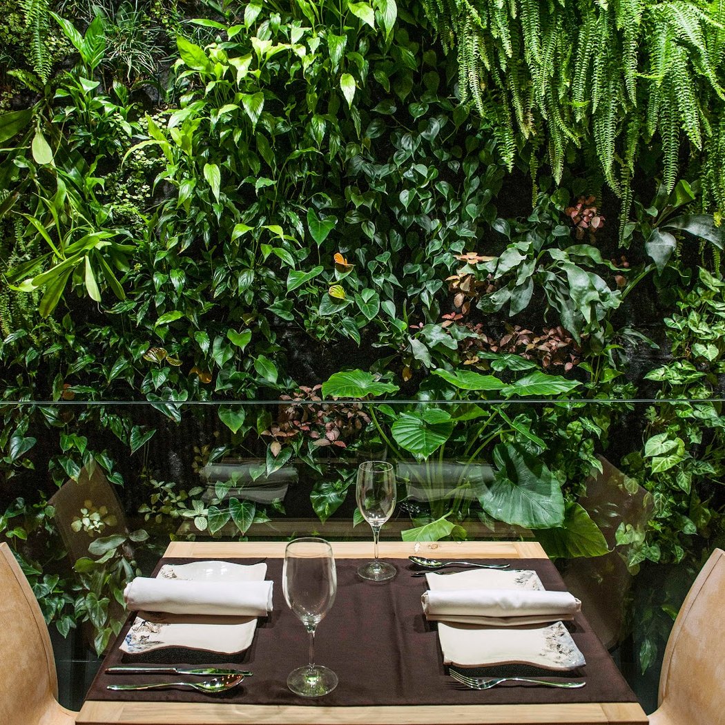 Restaurante Terraza De La O | Alta Cocina Andaluza en Sevilla 2