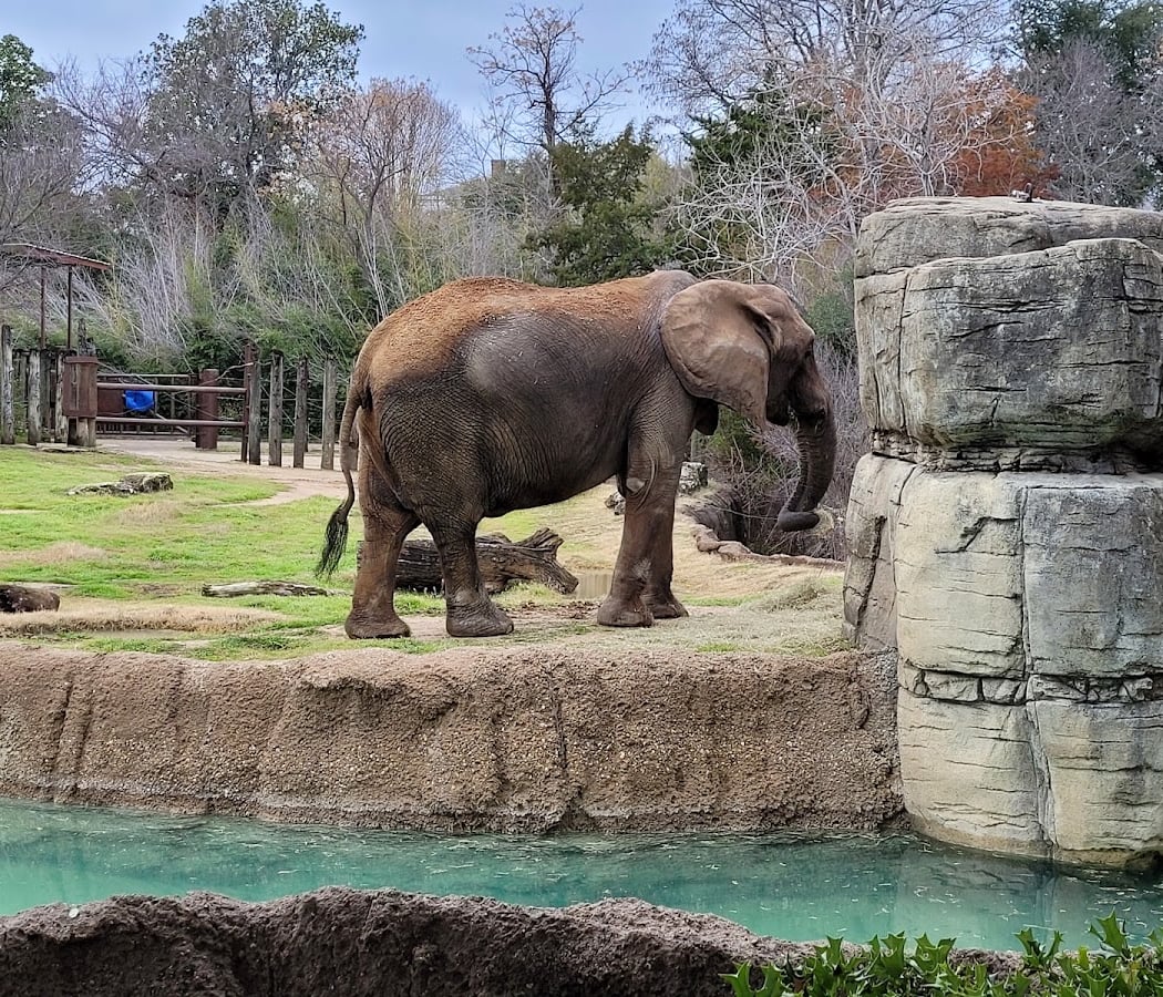 Cameron Park Zoo 3