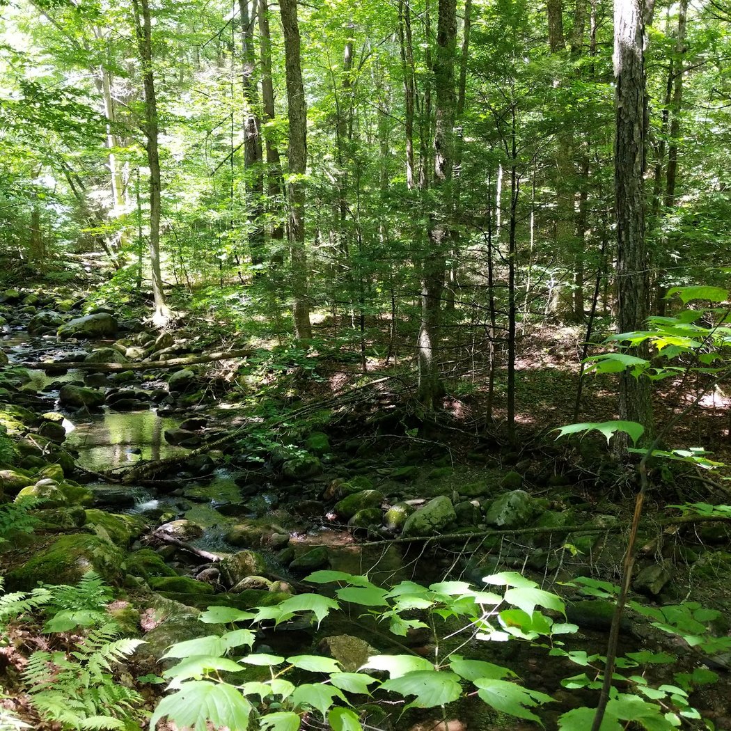 Sanderson Brook Waterfall 3