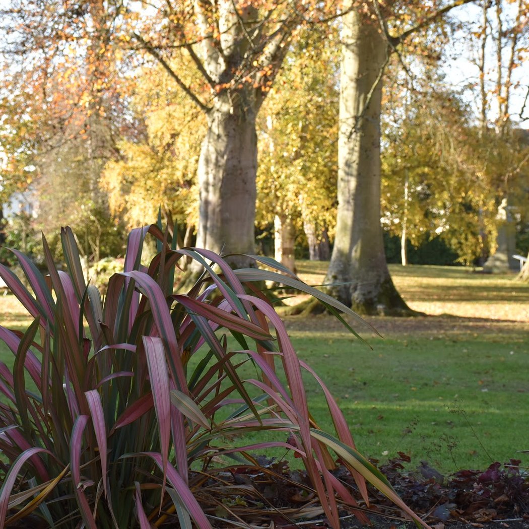 Jardin Botanique de Bayeux 2
