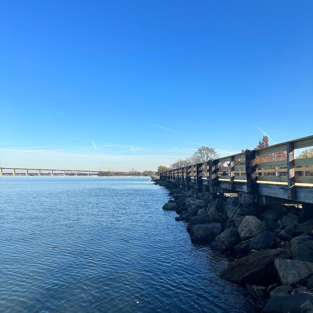 Bayonne Park 2