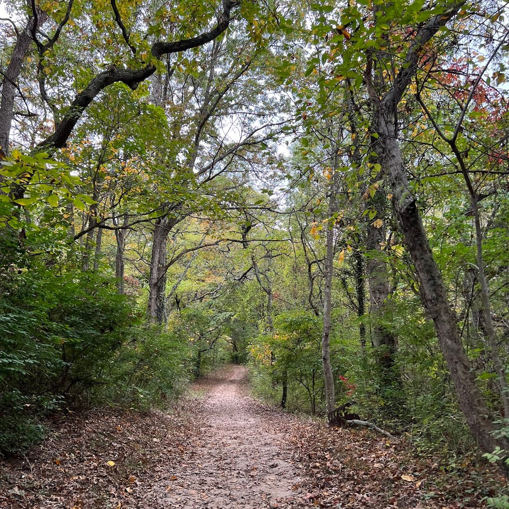 Muttontown Preserve 4