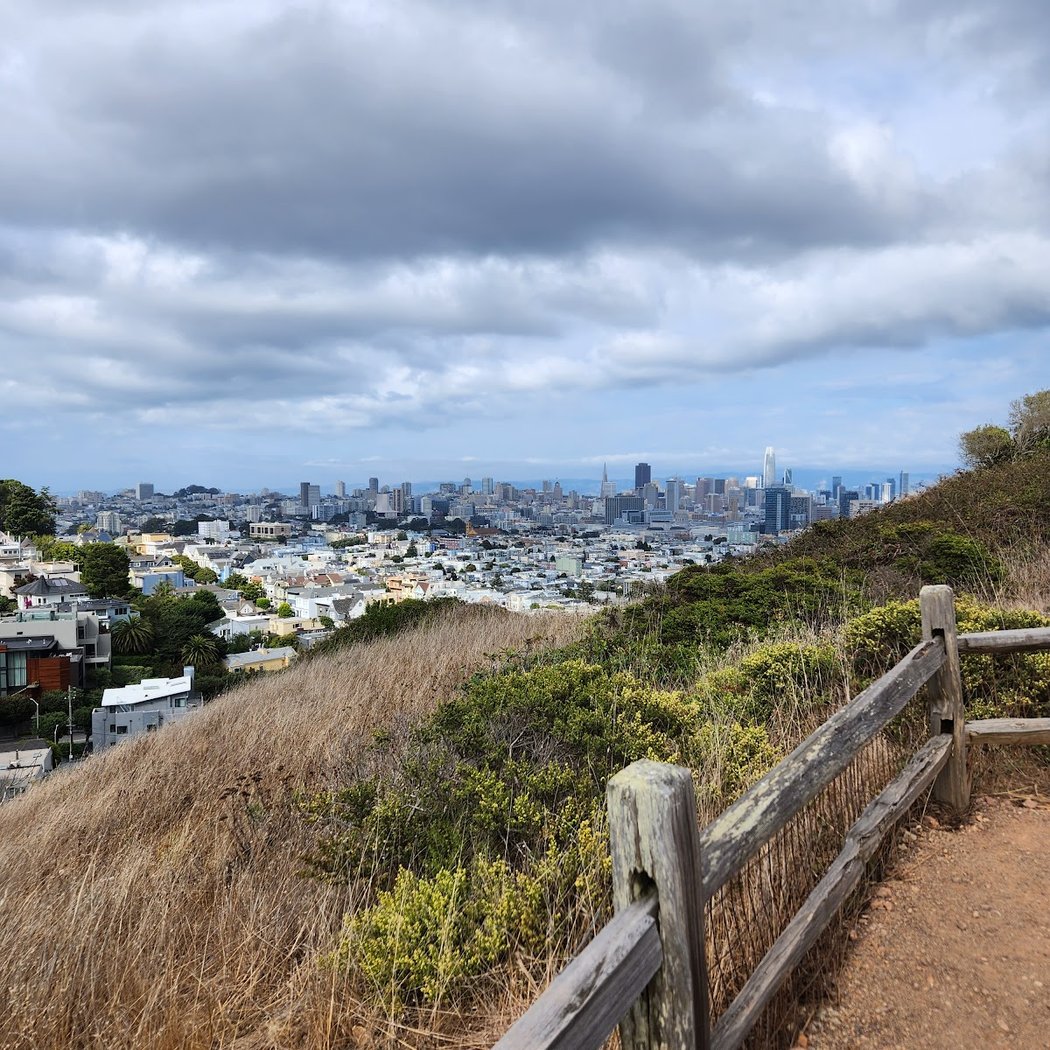Corona Heights Dog Run 3
