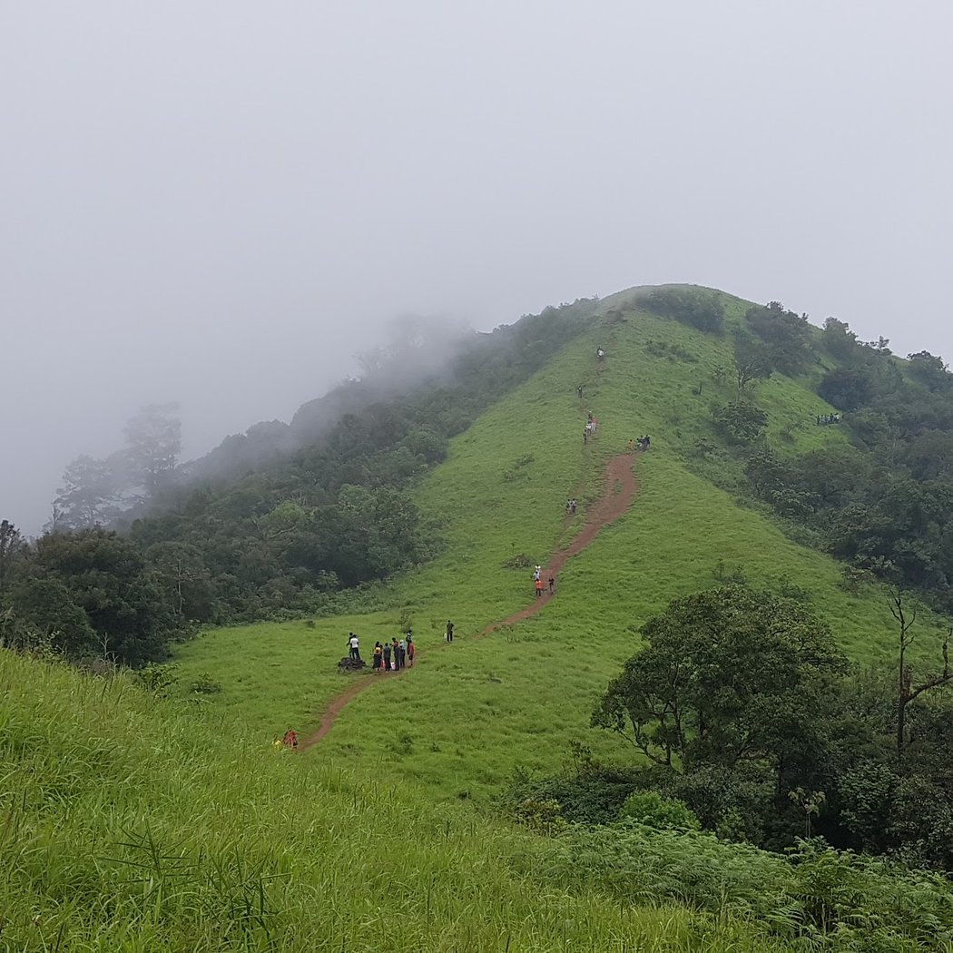 Kodachadri Trek Trail 3