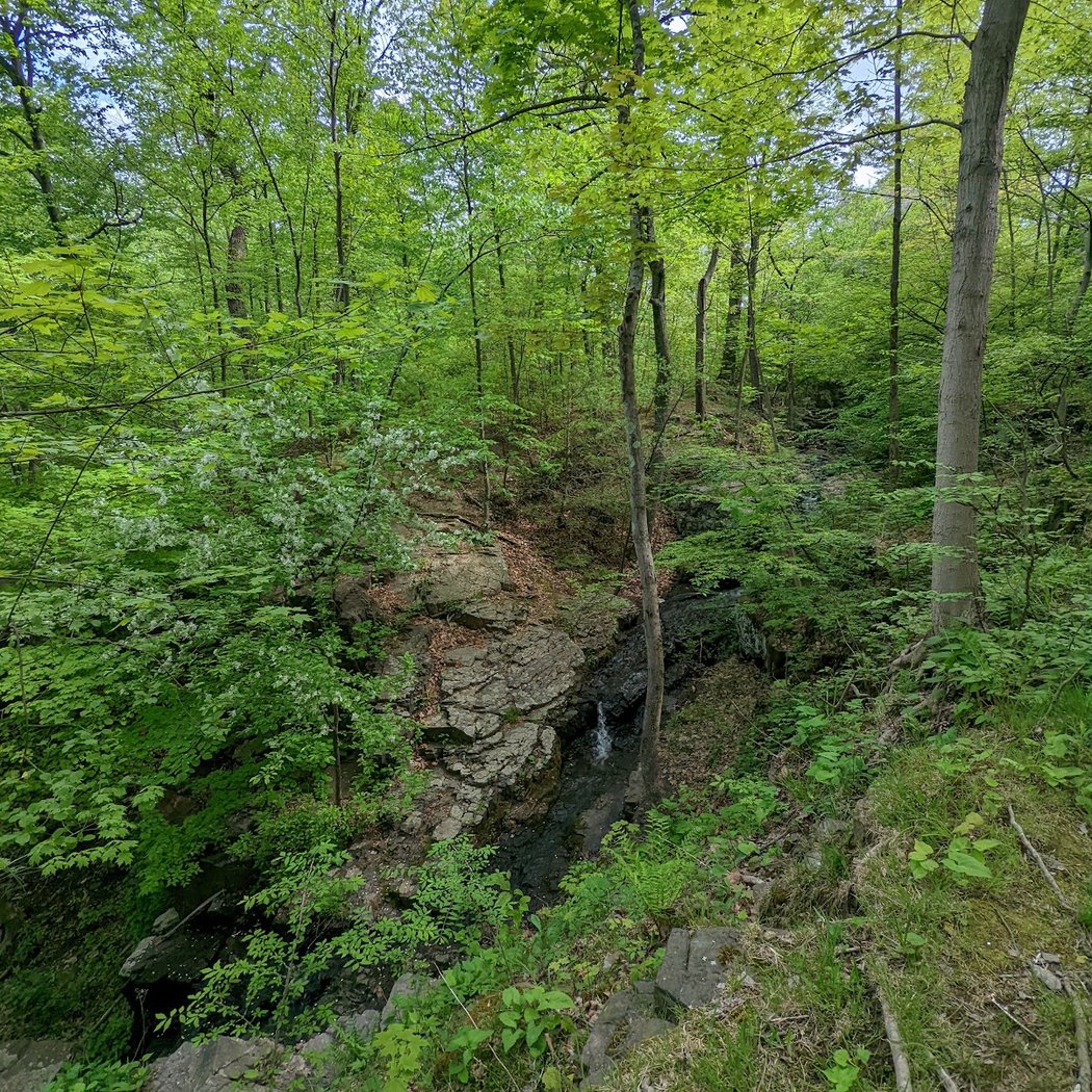 Buttermilk Falls County Park 3