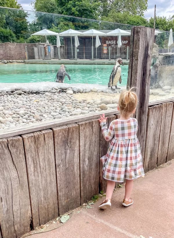 London Zoo 2