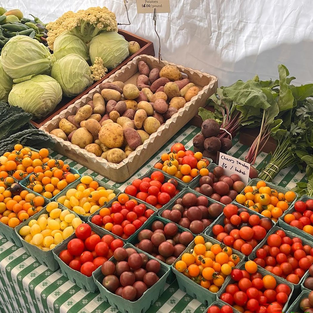 Healdsburg Farmers Market 1