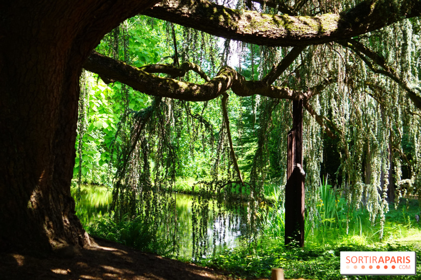 Arboretum de la Vallée aux Loups 1