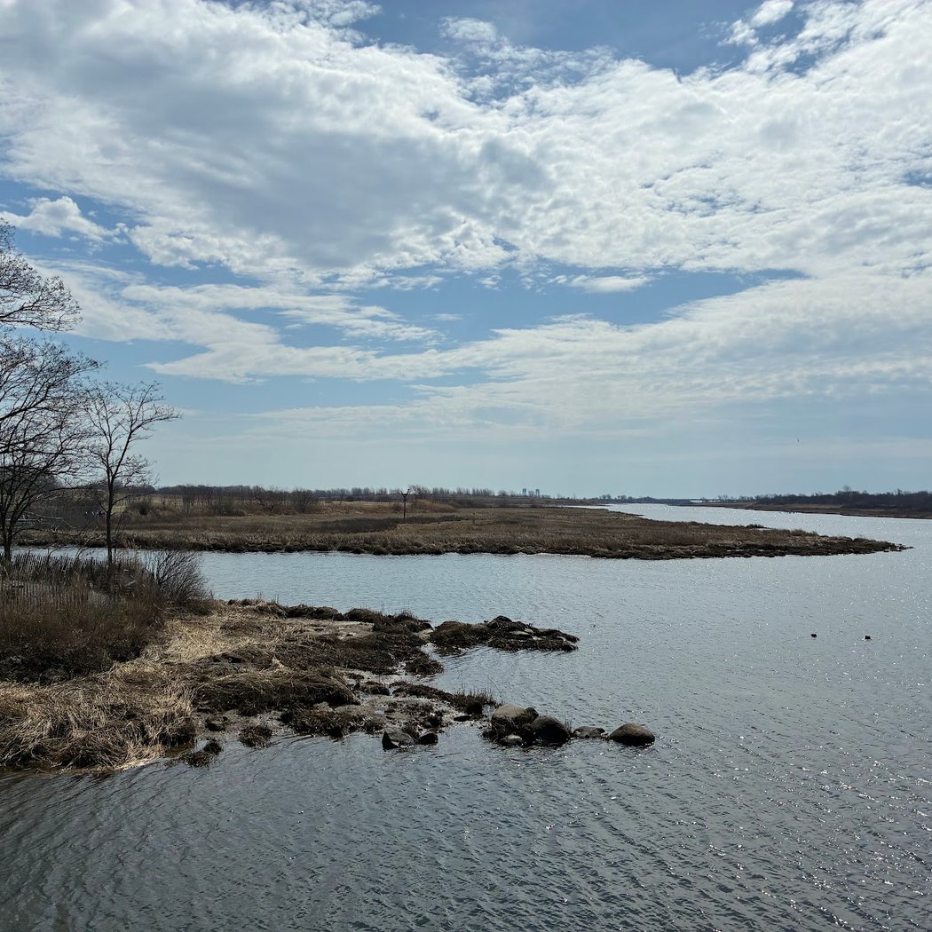 Salt Marsh Nature Trail park 1