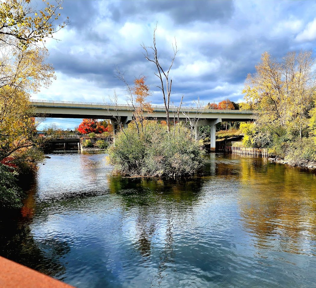 Gallup Park 3
