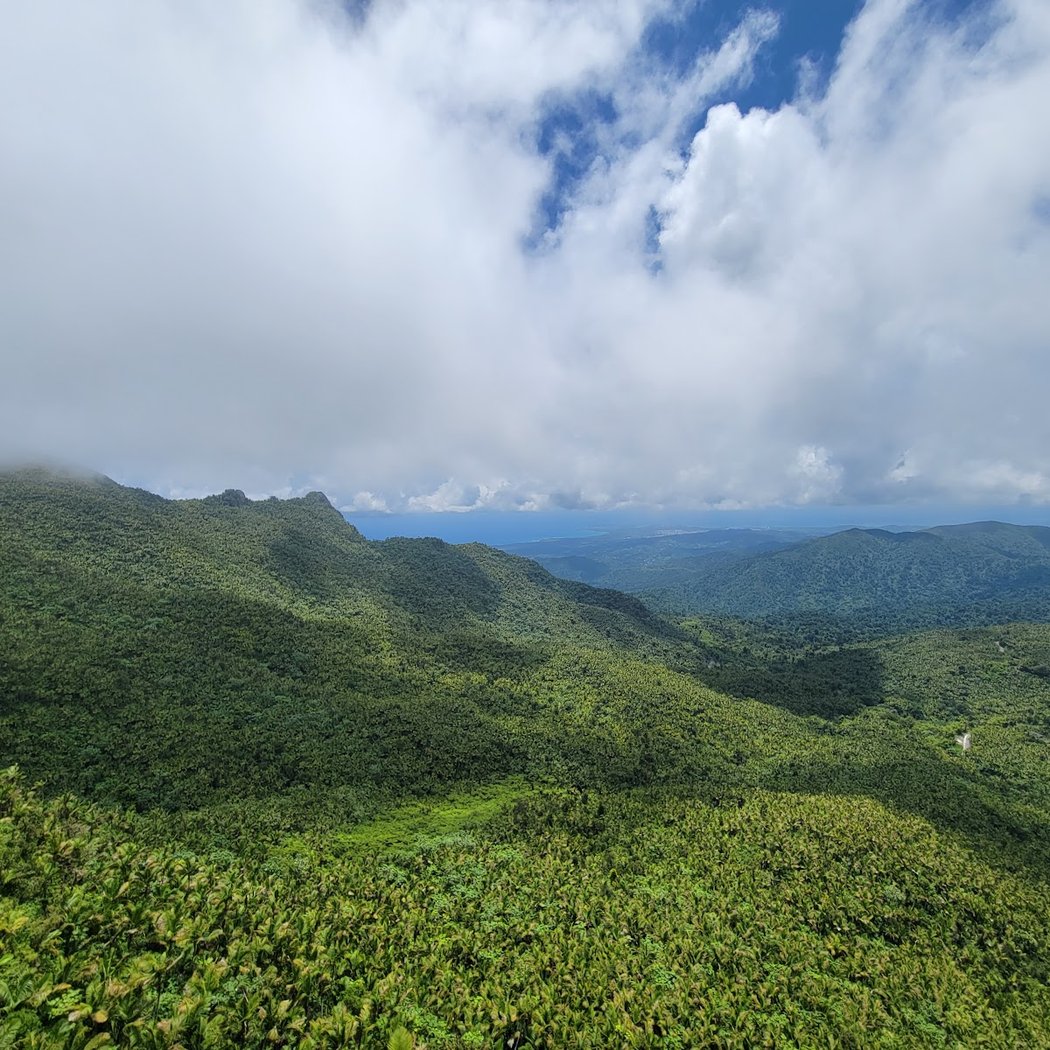 El Yunque National Forest 2