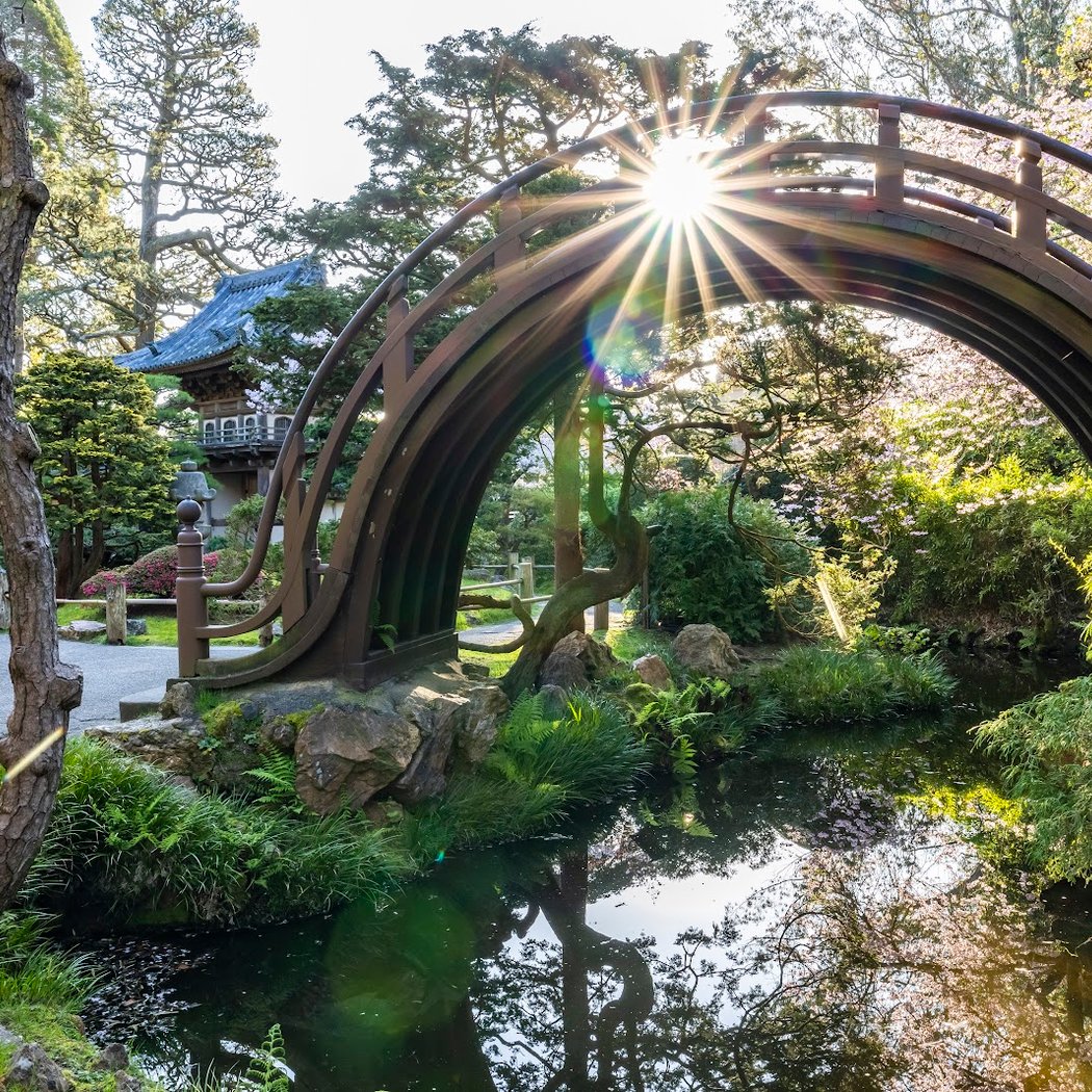 Japanese Tea Garden's Free Admission Hour 1