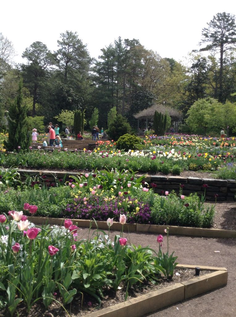 Durham Summer Concerts in the Park: Blue Cactus 2