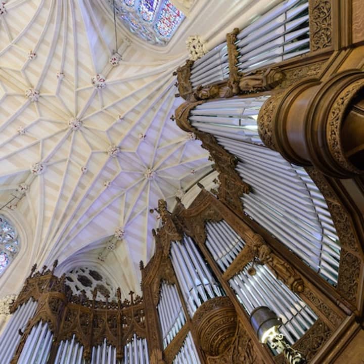 St. Patrick's Cathedral: Official Tour 2