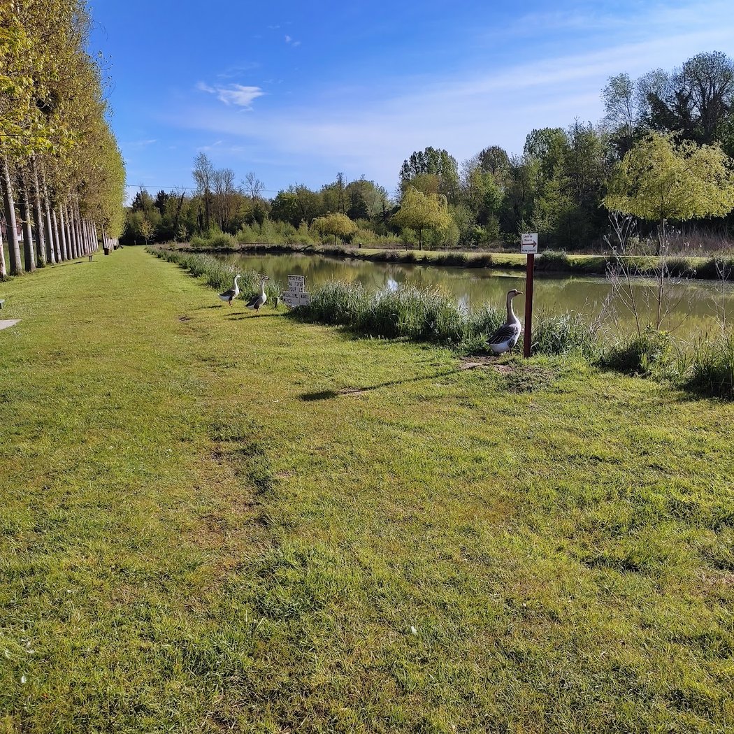 Les eaux des oies 1