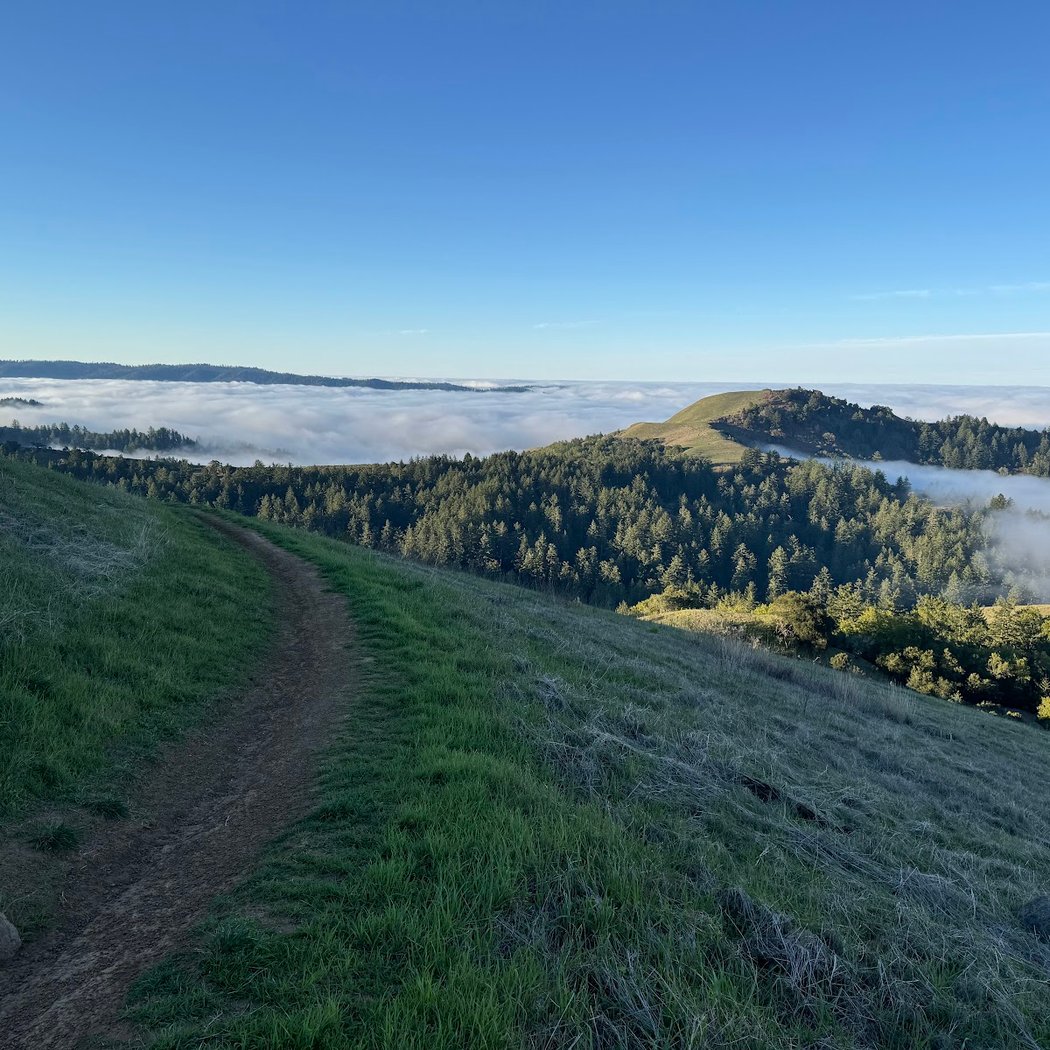 Hike at Russian Ridge Open Space Preserve 1