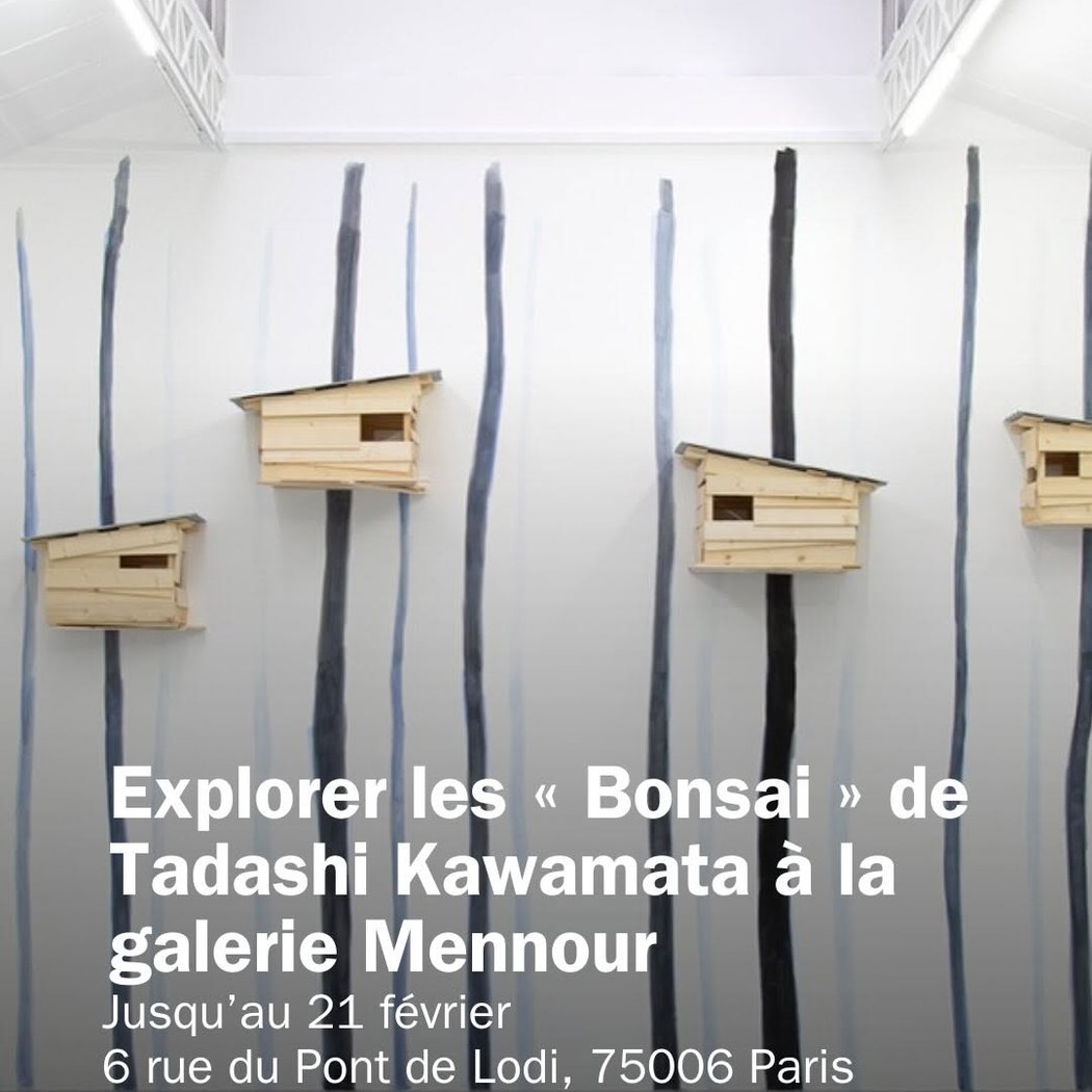 TADASHI KAWAMATA - BONSAI 1