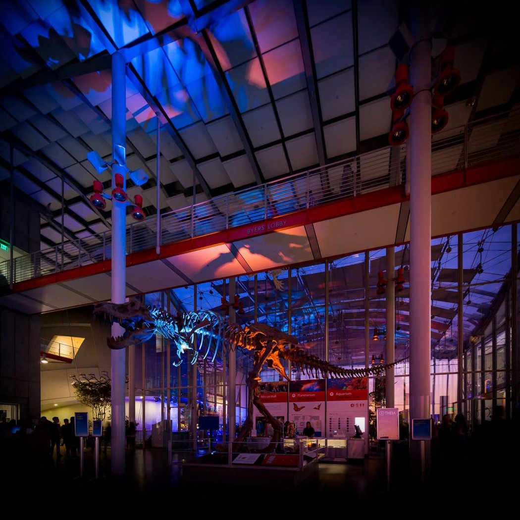 Nightlife at the Academy of Sciences 1