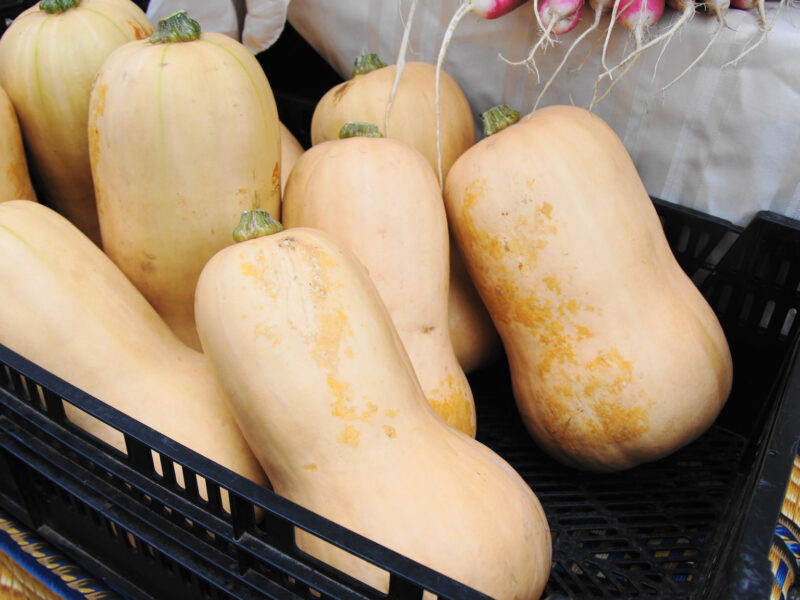 Mill City Farmers Market 1