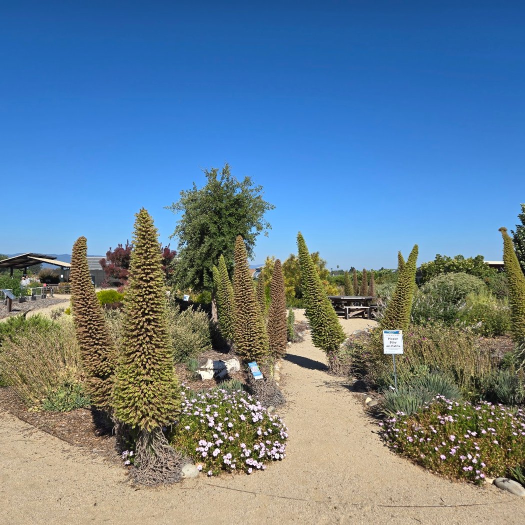 California Native Plant Sale 1