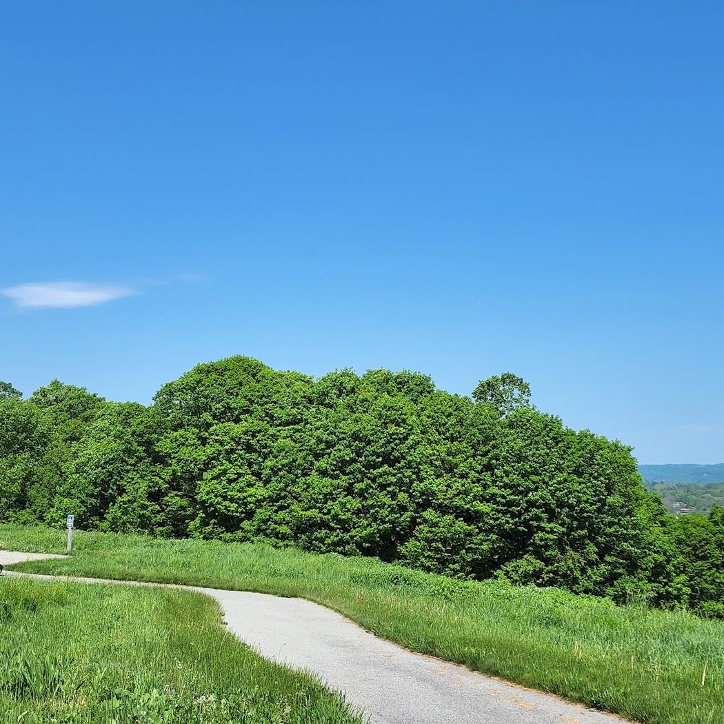 Scenic Overlook 3