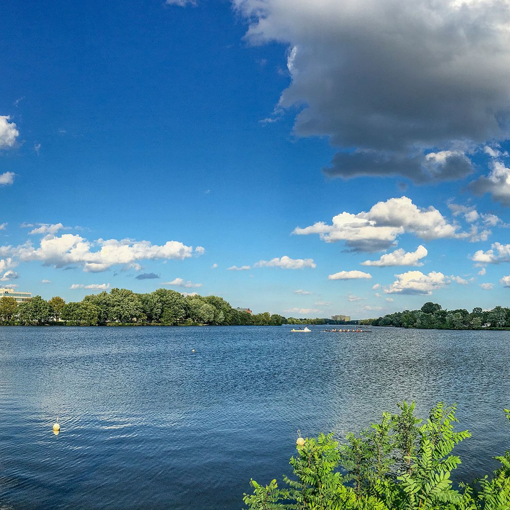 Cooper River Park 1