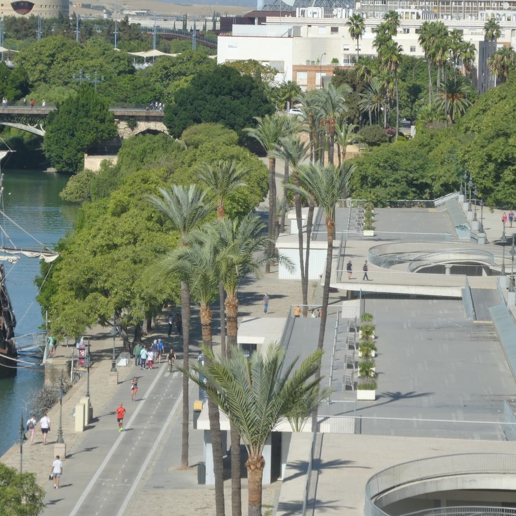 Maratón de Sevilla 2026 2