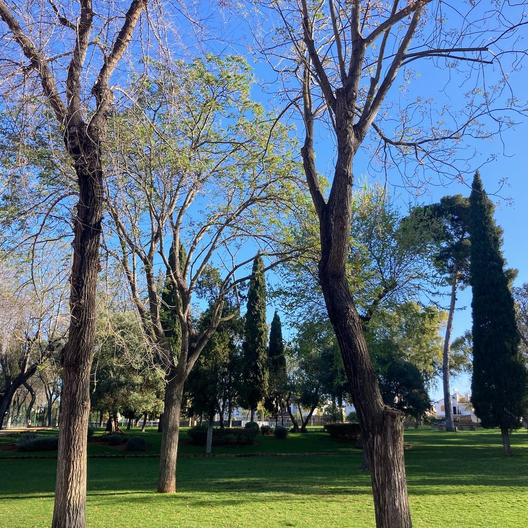 Alquería Park 2