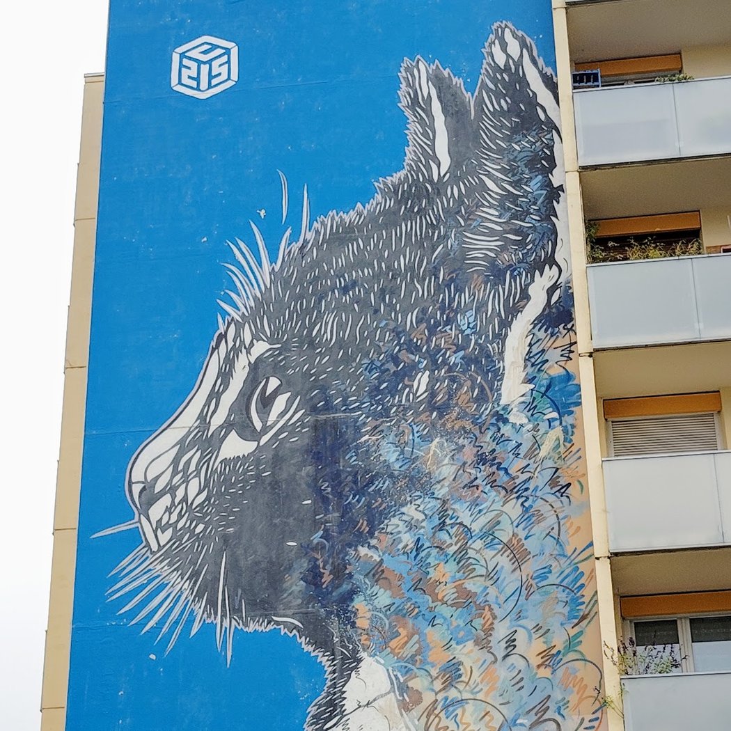 Fresque "Le Chat" de C215 1