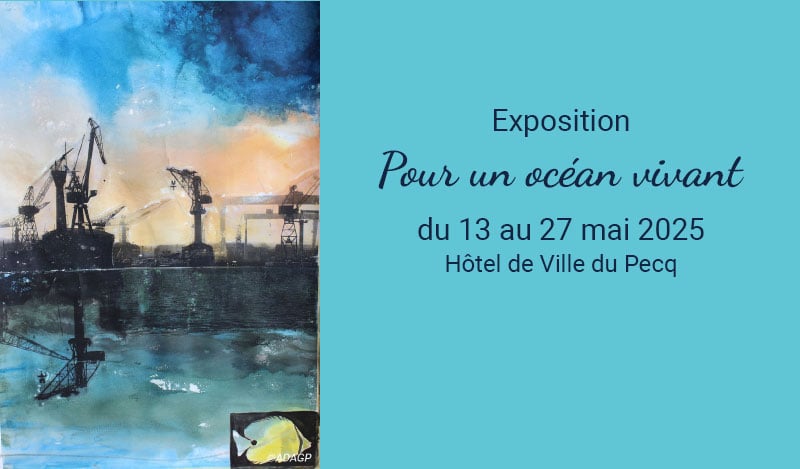 Pour un océan vivant 1