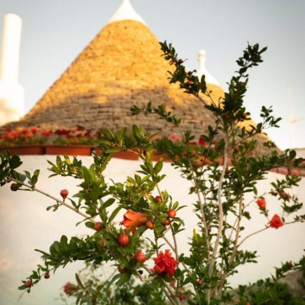 Trulli Ulivi 3