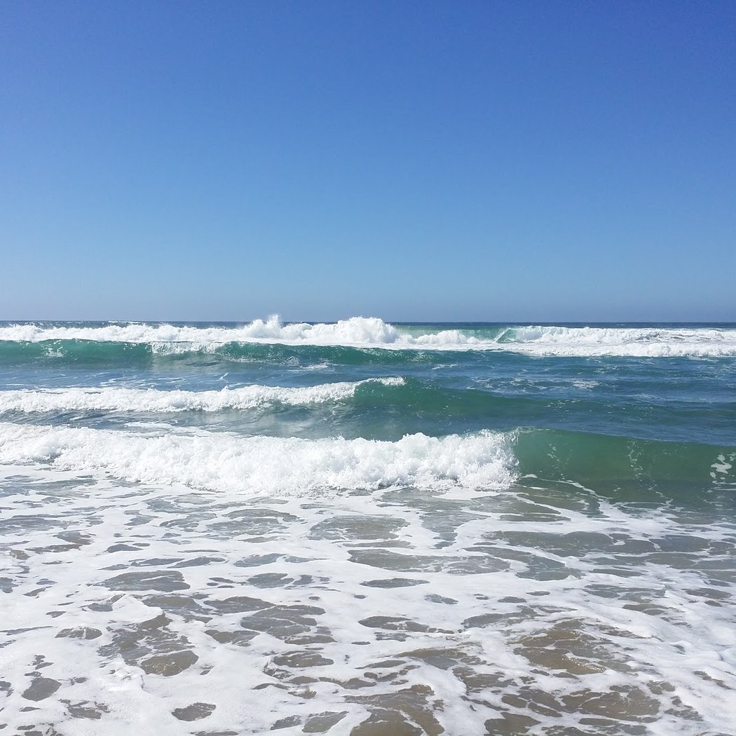 Kehoe Beach Trail 2