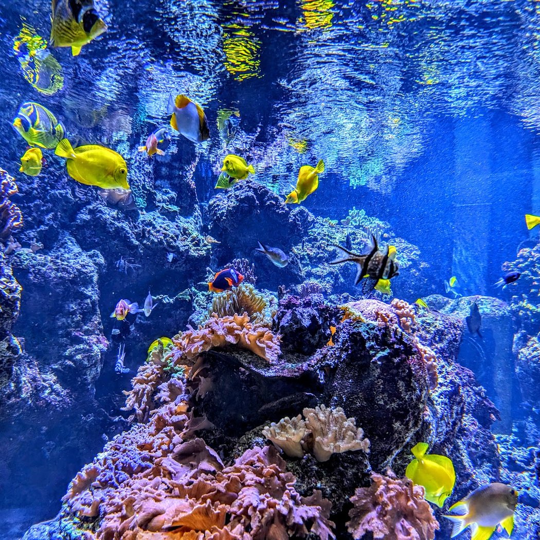 National Aquarium 1
