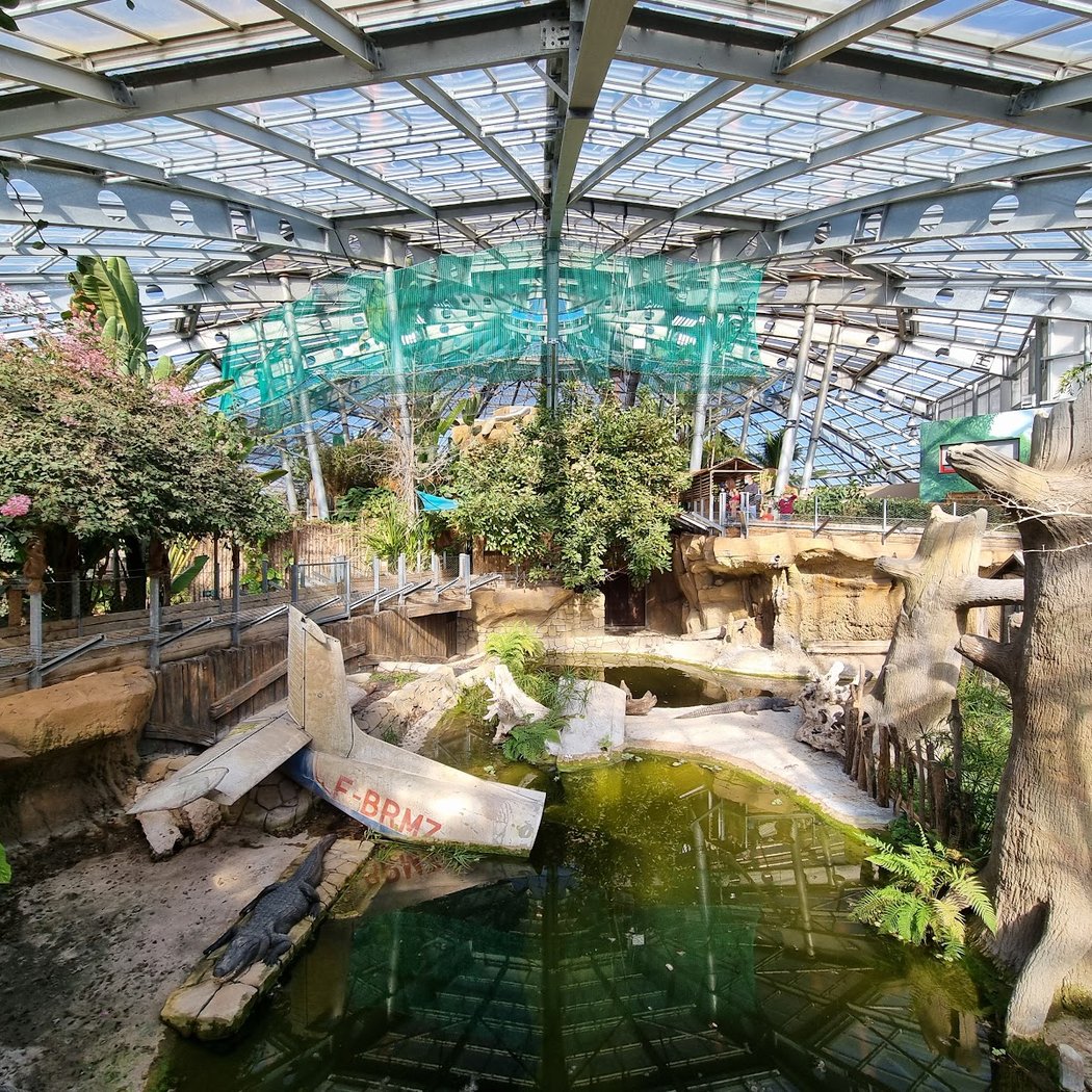 La Planète des Crocodiles 3