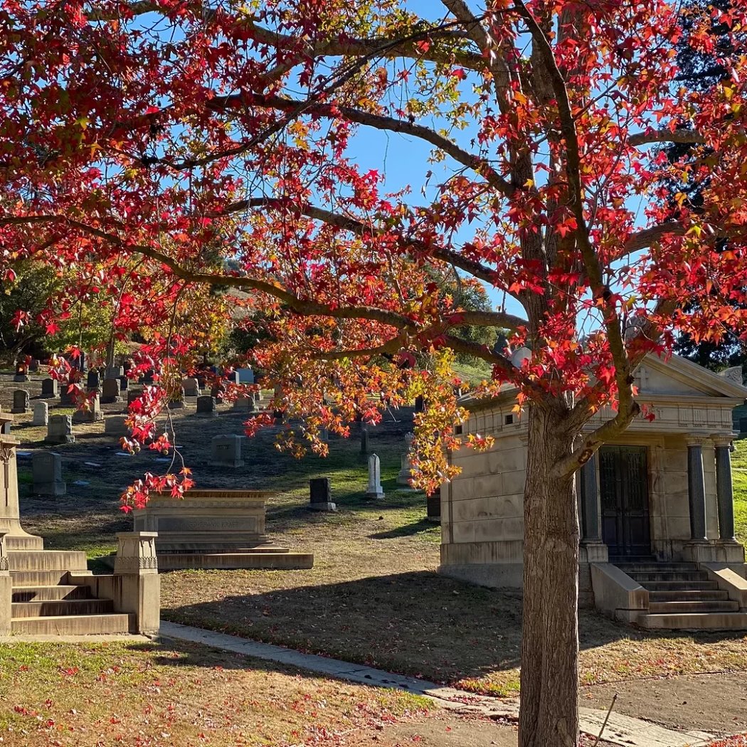 Piedmont Funeral Services and Mountain View Cemetery 3