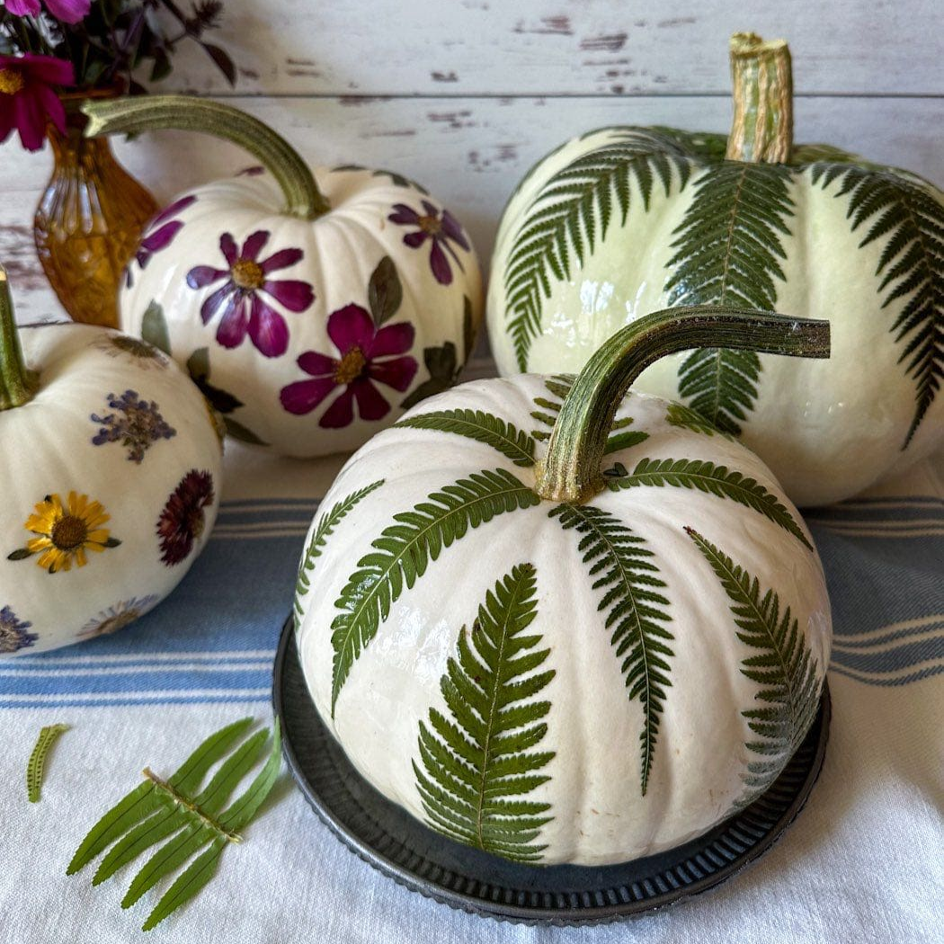 DIY Botanical Pumpkins 1